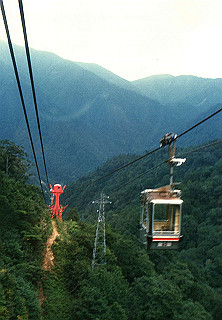 19861000_010_thumb.jpg