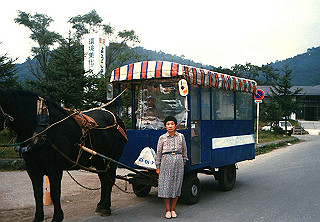 19861000_024_thumb.jpg