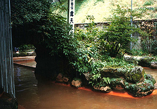 19861000_034_thumb.jpg