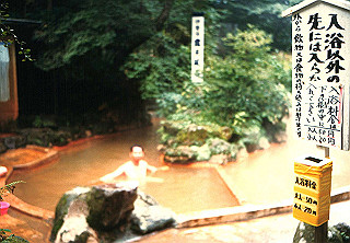 19861000_035_thumb.jpg