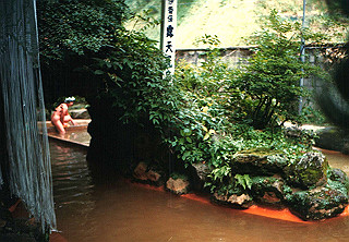 19861000_037_thumb.jpg