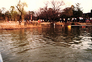 19870300_015_thumb.jpg