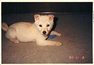 19871108_001_thumb.jpg