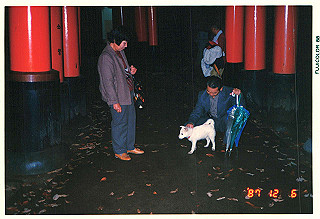 19871206_004_thumb.jpg
