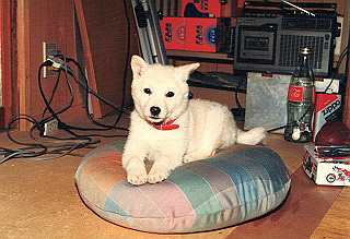 19871206_007_thumb.jpg