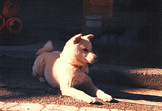 19871206_008_thumb.jpg