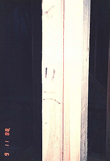 19881106_010_thumb.jpg