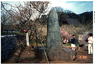 19890213_012_thumb.jpg