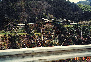 19890326_109_thumb.jpg