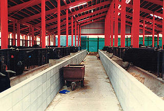 19890326_114_thumb.jpg
