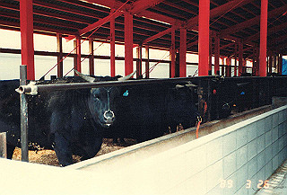 19890326_116_thumb.jpg