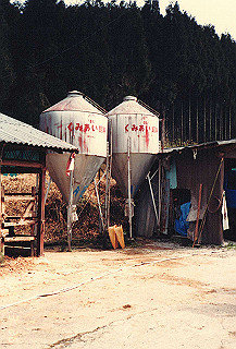 19890326_118_thumb.jpg
