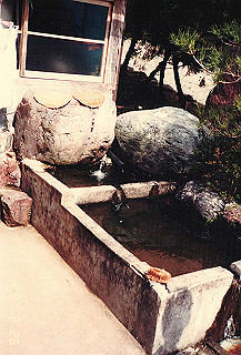 19890326_128_thumb.jpg