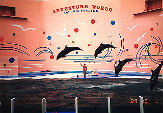 19891001_012_thumb.jpg