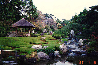 19891108_009_thumb.jpg