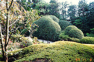 19891108_013_thumb.jpg