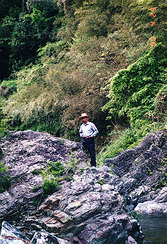 19900429_001_thumb.jpg