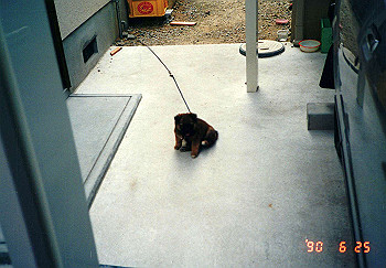 19900625_001_thumb.jpg
