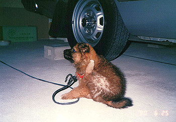 19900625_003_thumb.jpg