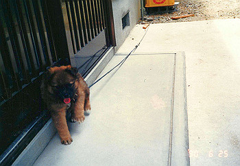 19900625_004_thumb.jpg