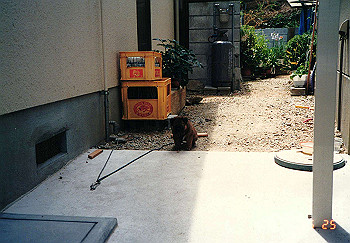 19900625_005_thumb.jpg