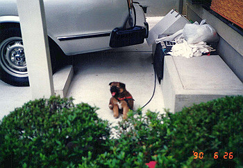 19900625_006_thumb.jpg
