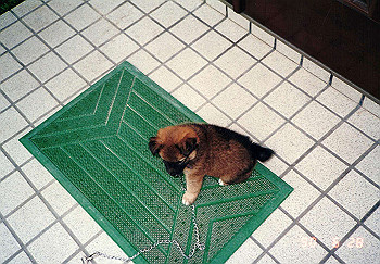 19900625_008_thumb.jpg