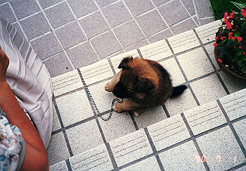 19900625_010_thumb.jpg