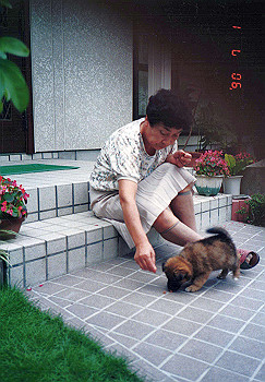 19900625_011_thumb.jpg