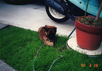 19900628_007_thumb.jpg