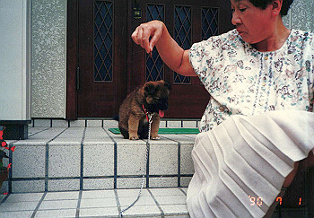 19900701_009_thumb.jpg