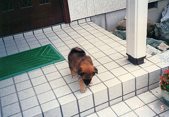 19900705_012_thumb.jpg