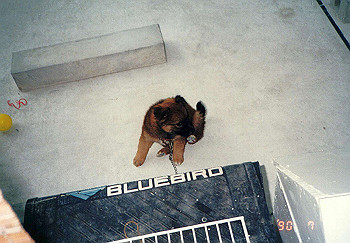 19900705_013_thumb.jpg