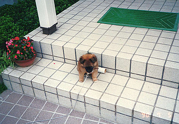 19900705_014_thumb.jpg