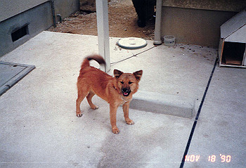 19901118_002_thumb.jpg