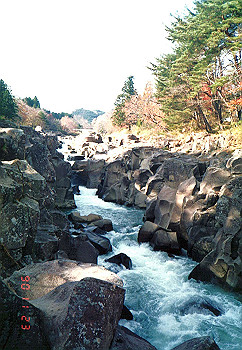 19901123_026_thumb.jpg