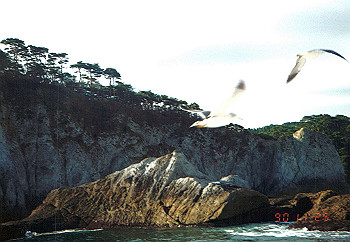 19901125_022_thumb.jpg