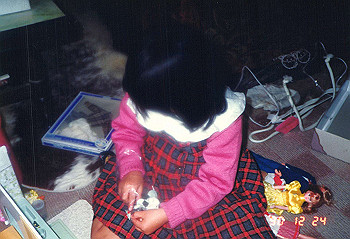 19901223_012_thumb.jpg