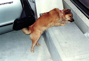 19901227_002_thumb.jpg