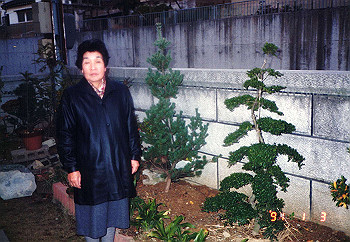 19910103_001_thumb.jpg