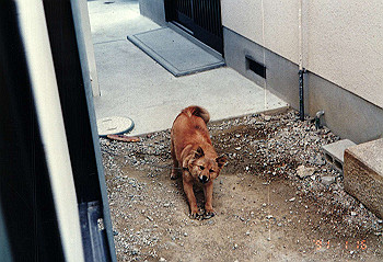 19910116_002_thumb.jpg