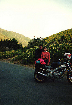 19910399_904_thumb.jpg