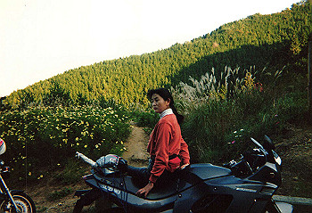 19910399_907_thumb.jpg