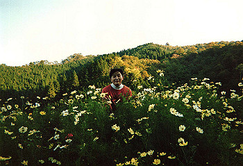 19910399_910_thumb.jpg