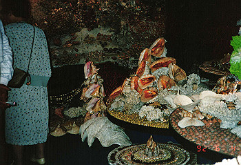 19920604_002_thumb.jpg