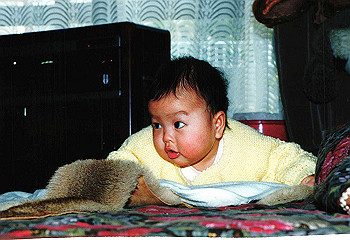19930113izumi_003_thumb.jpg
