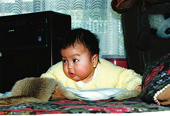 19930113izumi_004_thumb.jpg