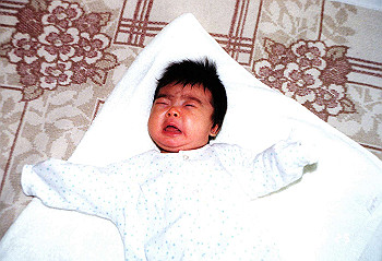 19930225_003_thumb.jpg