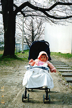 19930313izumi_003_thumb.jpg