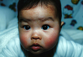 19930313izumi_007_thumb.jpg